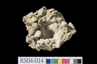 藏品(石灰岩)的圖片